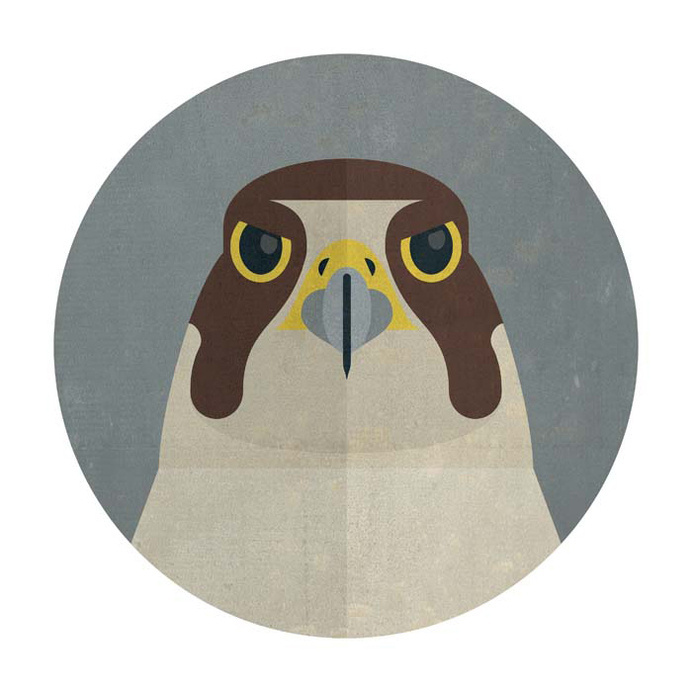 Print #illustration