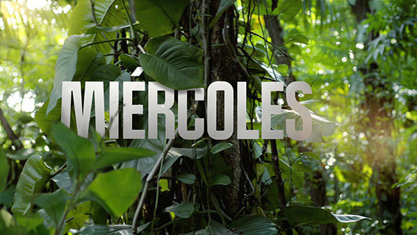 Discovery Channel Latam Rebrand on Behance #composite