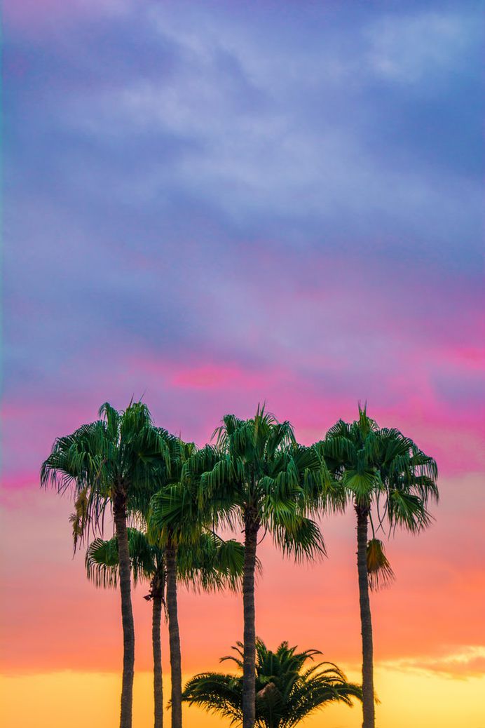 Santa Barbara Views photo by O.C. Gonzalez (@ocvisual) on Unsplash