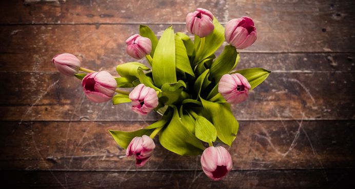 Pink tulips in a vase on a wooden table
