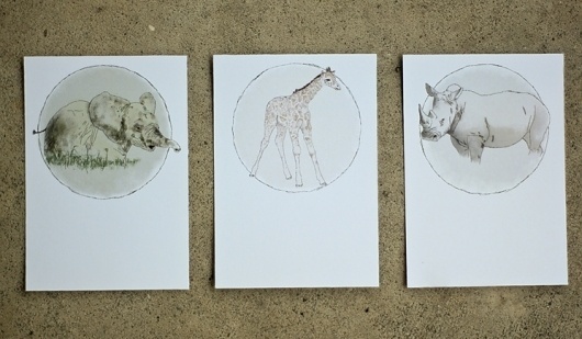 jared smyth #illustration #postcards #animals