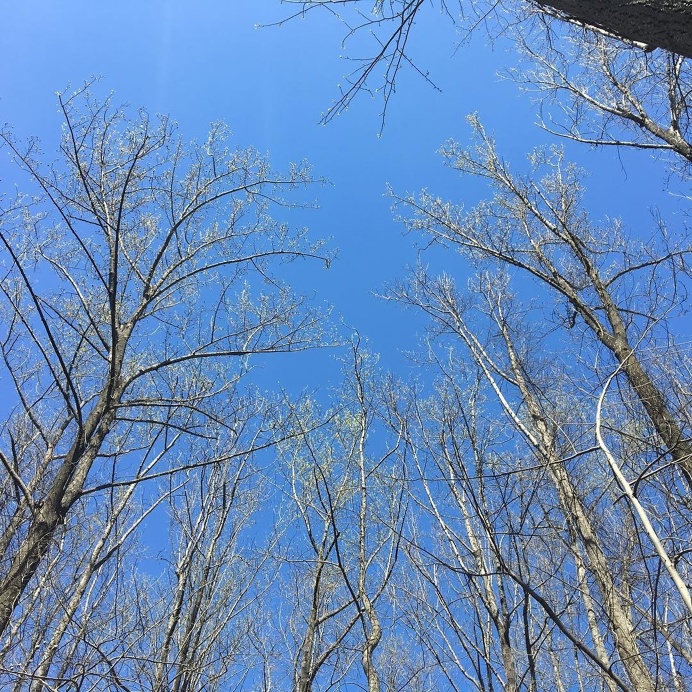 Spring is in the air...