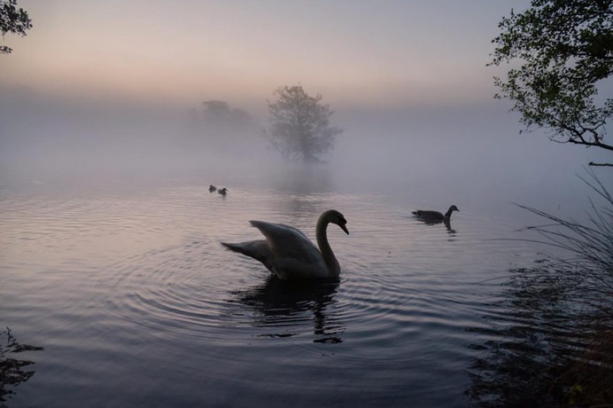 Breathtaking Nature and Landscape Photography by Cath Gothard