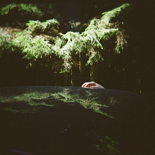 hysysk. #photography #nature