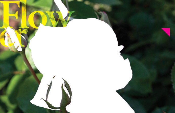 Graphic Design Botanical Gardens