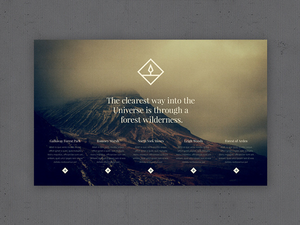 EVER WONDER™ // Branding on Behance #vector #iconography #branding #icon #icons #texture #grid #web #logo #forest #mountains #green