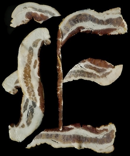 Henry Hargreaves #bacon #alphabet