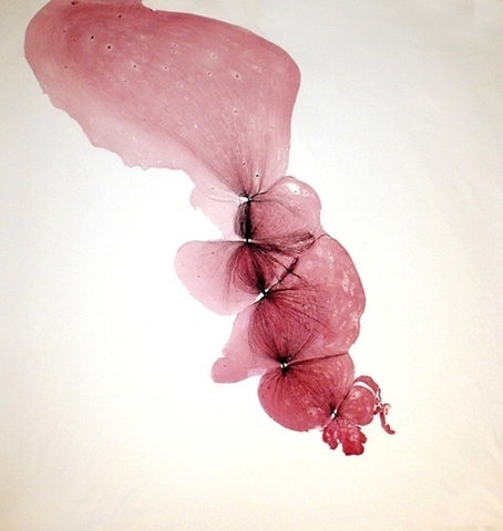 FFFFOUND! | Incompossible, adj. – Unable to exist if something else... - but does it float #movement