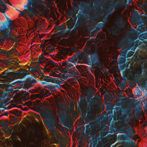 Whiteeyes.club Protobacillus – Abstract Animations