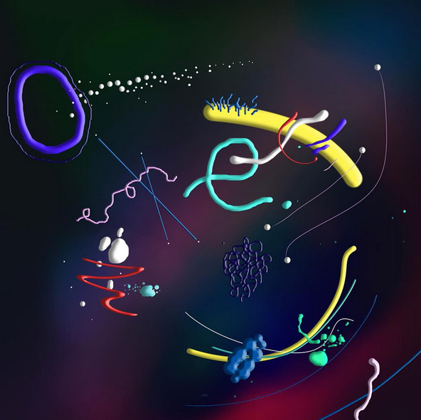 ~ Daily Fun ~ on Behance