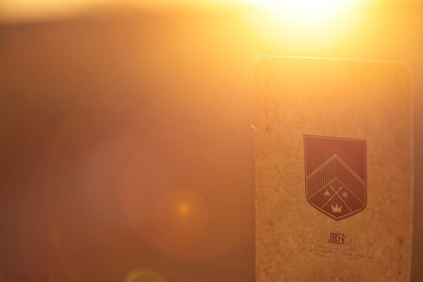 Sultan Treasury Playing Cards Playing Cards | Ellusionist #cards