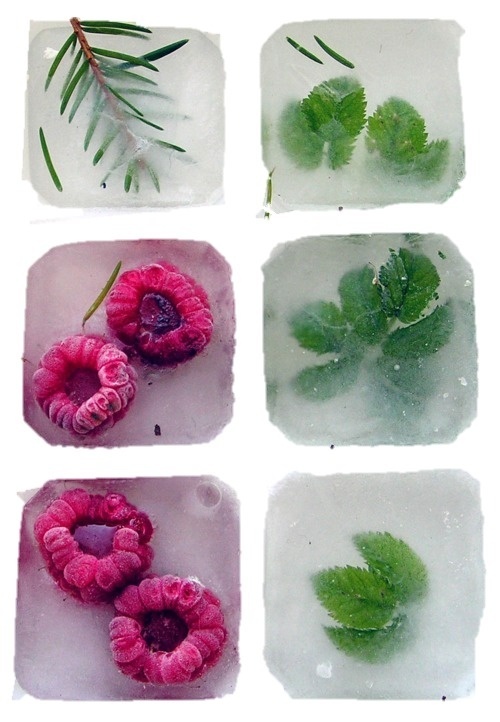 ice | Tumblr