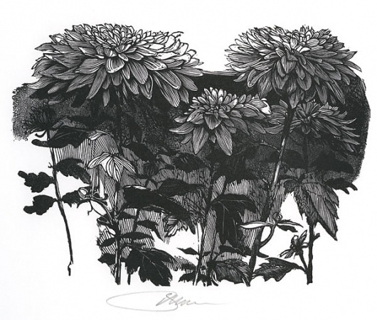 Google Image Result for http://www.vanderbilt.edu/magazines/acorn-chronicle/wp-content/uploads/2010/01/Moser-Chrysanthemums.jpg #baskin #print #block #wood #leonard