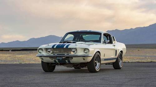 MY FEEDLY: 1967 Ford Shelby GT500 Super Snake