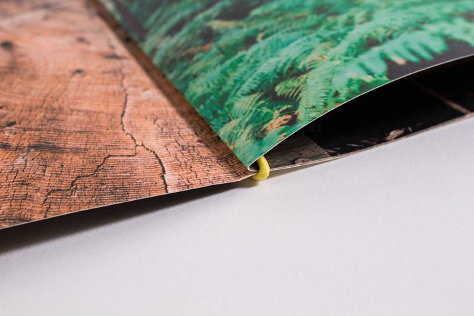 Forest Found brand identity nature natural tree ecological eco branding green brow beautiful minimal mindsparkle mag inspire inspiration www