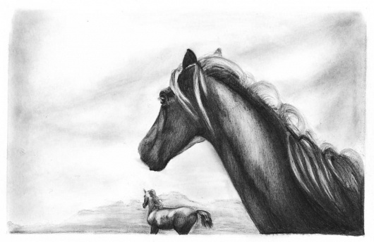 Wall Photos #old #horse #west #just #design #jack #pencil #sketch
