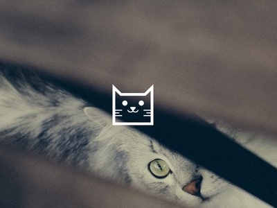 Cat #icon #cat