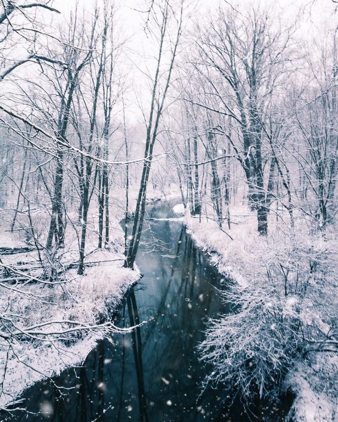 Fantastic Nature Photography by Logan Brown