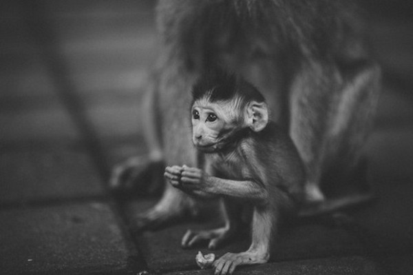 National Geographic Traveler Photo Contest 2014 #inspiration #photography #travel