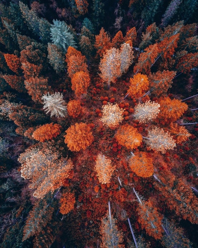 Pacific Northwest by Neohumanity