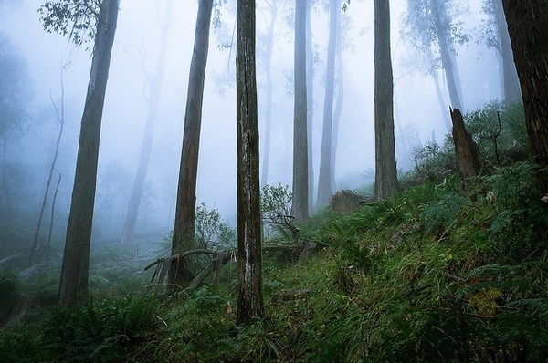 Daniel Dahlmann #inspiration #photography