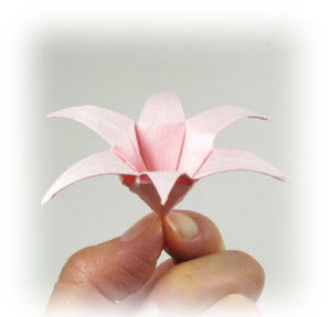 How to make a six petals origami lily (http://www.origami-flower.org/howto-origami-lily.php)