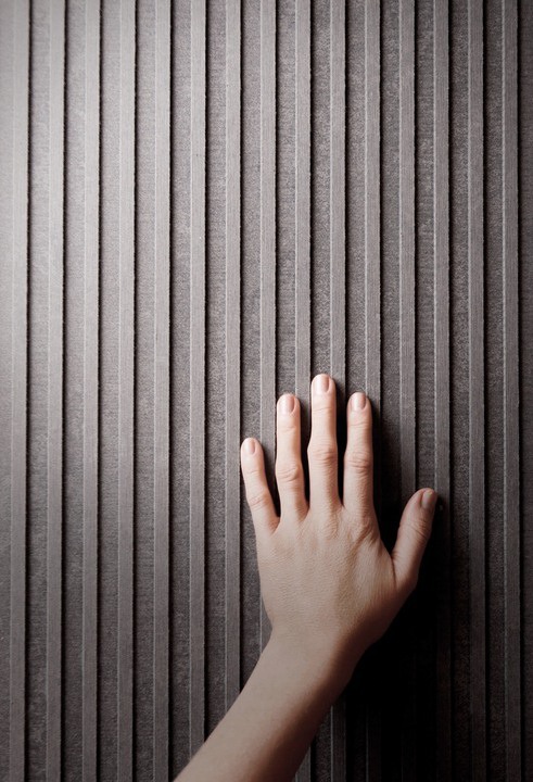Fiber Cement Facade Panel Linea | EQUITONE