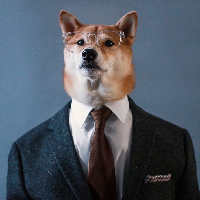 (Spec)tacular for NYFW