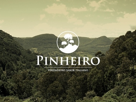 Pinheiro #branding #ideia #brand #logo #bigode
