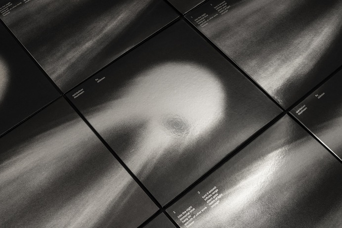 QD003_VINYL_03_02.jpeg (2000×1334)