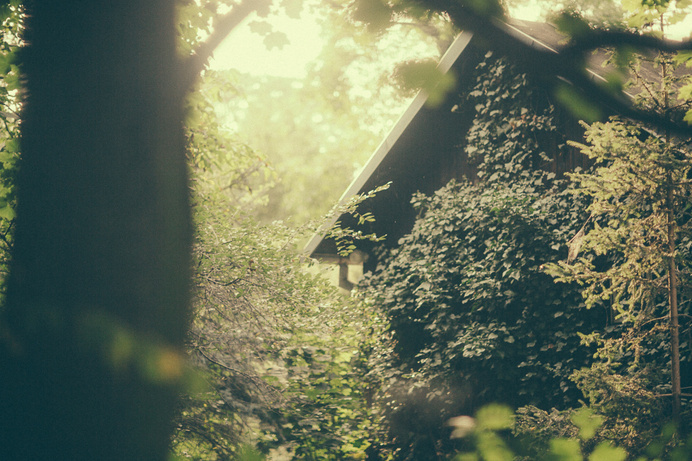 BART6563 #house #photo #nature #magic #green