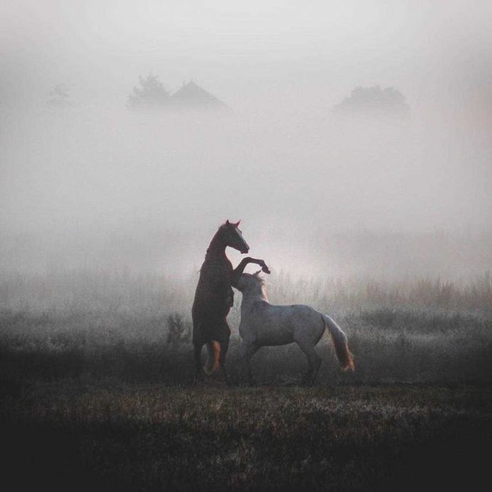 Stunning Travel and Adventure Photography by Glenn Anthonie