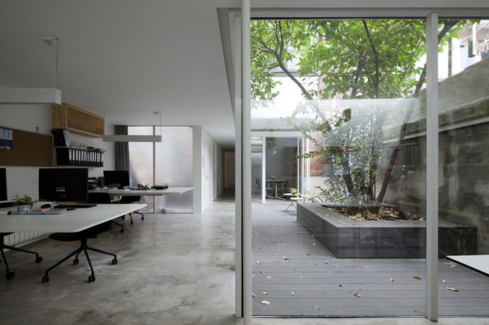 lukstudio forms office around a chimonanthus tree in shanghai #office