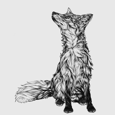 Hand drawn fox by Greg Coulton