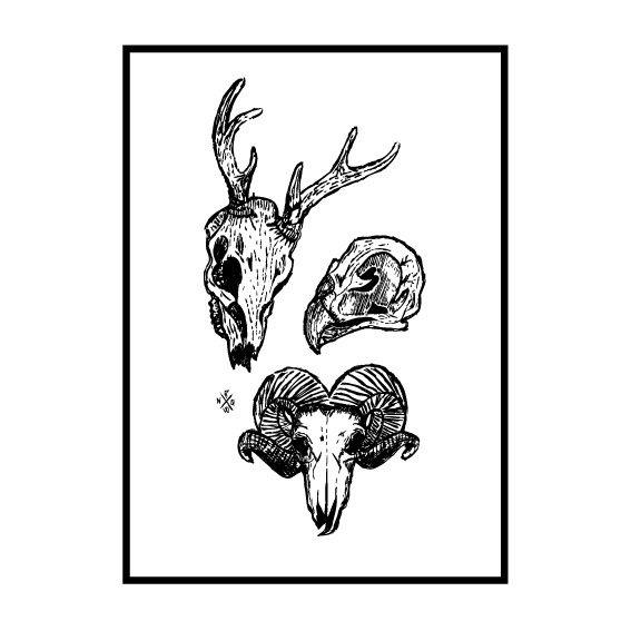 ROWN • Animal skulls screenprint Deer, falcon & ram