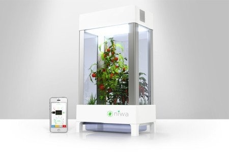 With Niwa growing your own indoor garden is just an app away! #design #home #product #indoor #industrial #garden