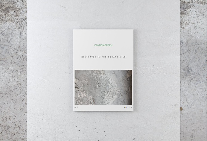 Cannon Green zine
