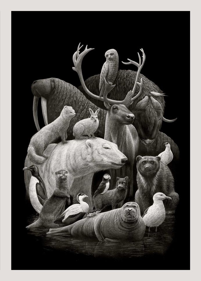Various Pencil Drawings by Børge Bredenbekk