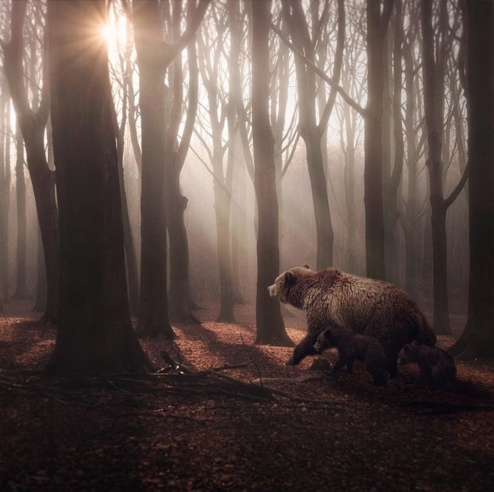 Dreamlike Landscape and Adventure Photography by Brendan Williams