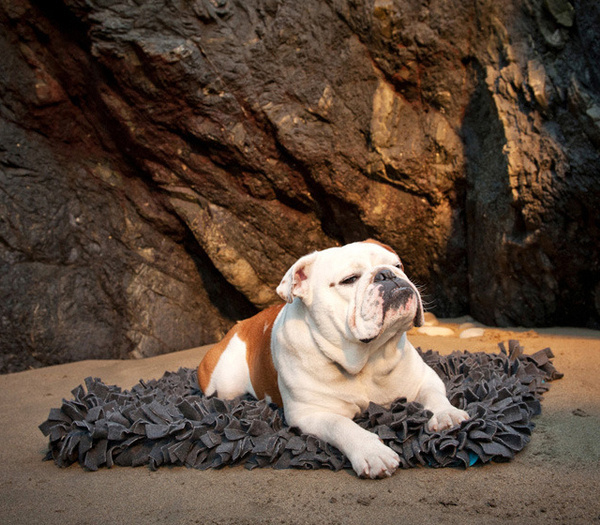 Wildebeest Meadow Pet Rug #pillow