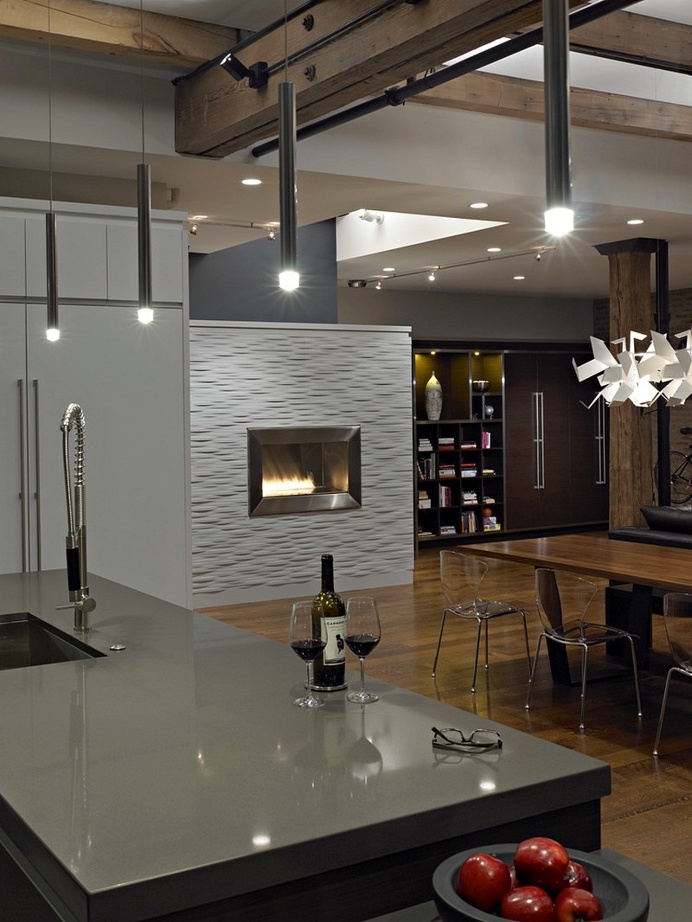 River North Loft in Chicago / Foster Dale Architects