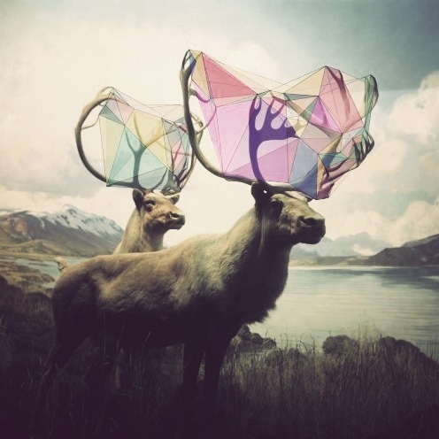 Uut Poetry — Day of Moves It is a day of moves. The moves go... #antlers #deer #geometry #animas #photo #color #elk #shape