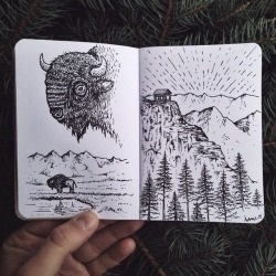 Buffalo #inspiration #board #book #mood #buffalo #sketch