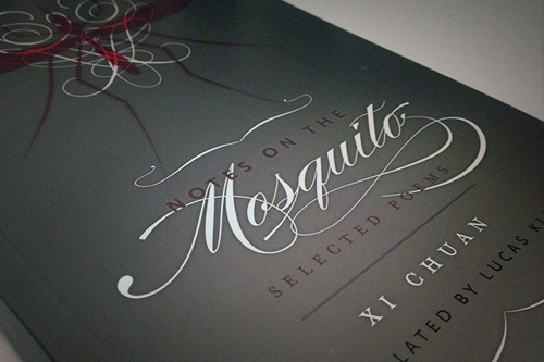 EileenBaumgartner_NewDirections_Mosquito.jpg #editorial #type #cover #books #editorial #type #cover