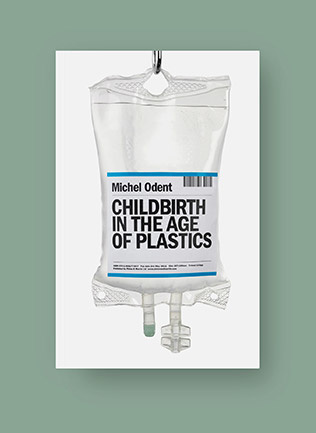 book cover - childbirth in the age of plastics