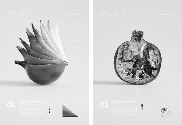 Gemma Warriner | UTS Visual Communication Grad Show 2013 #visualisation #infographics #food #photography #data #visualization