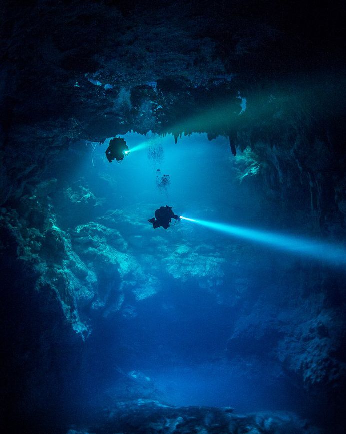 Incredible Underwater Photography by Tom St George