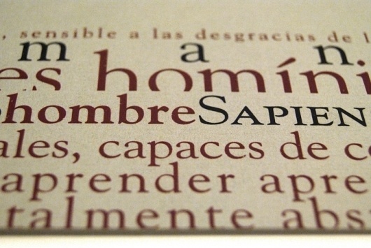 Diego Pinzon, Industrial Designer from Buenos Aires CF, Argentina #diego #pinzon #dictionary #layout #typo #typography