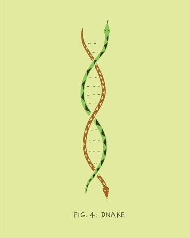 FFFFOUND! | DNAKE Art Print by AGRIMONY // Aaron Thong | Society6 #illustration