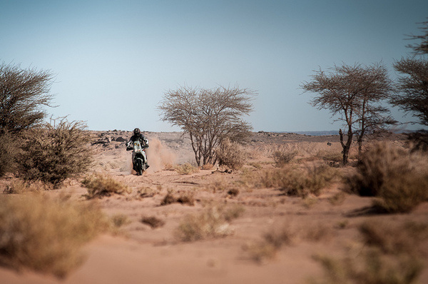 photo #transalp #rally #marocco #honda #motorcycle